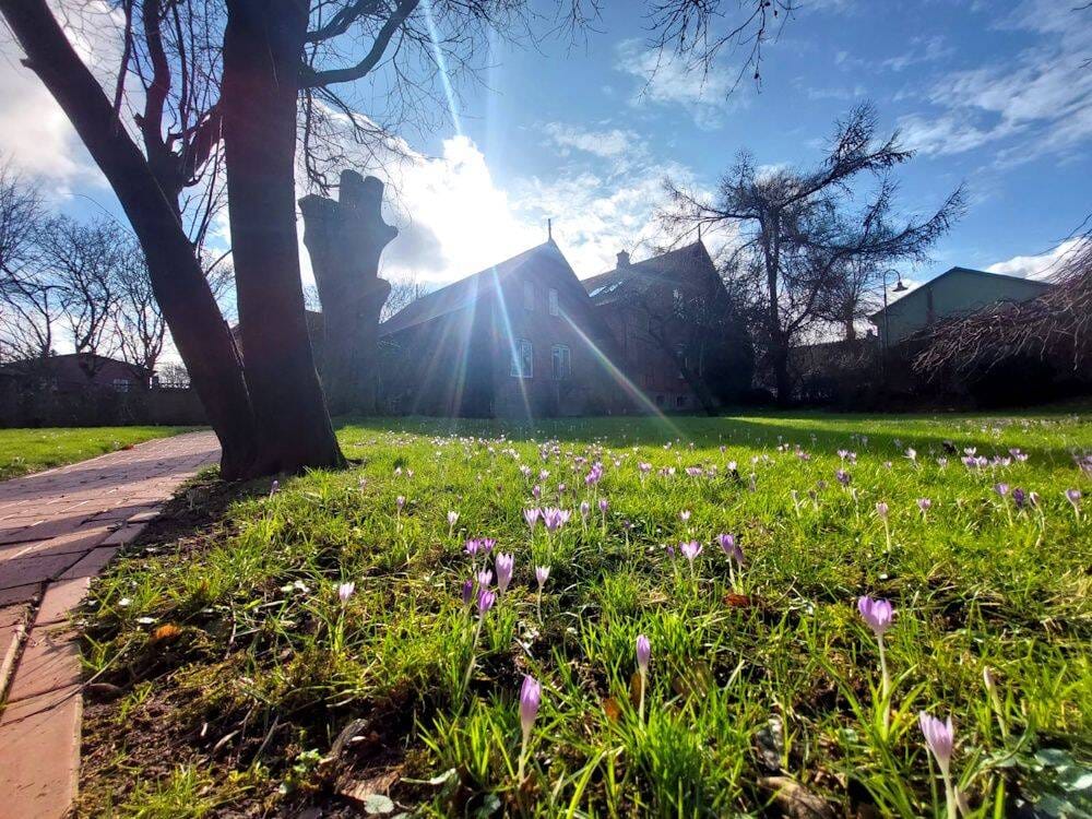Immobilie in Steinbergkirche - Frühling am Ostseestrand  -  Altbauvilla mit Gästehaus und großem Garten, frei- - Bild 0