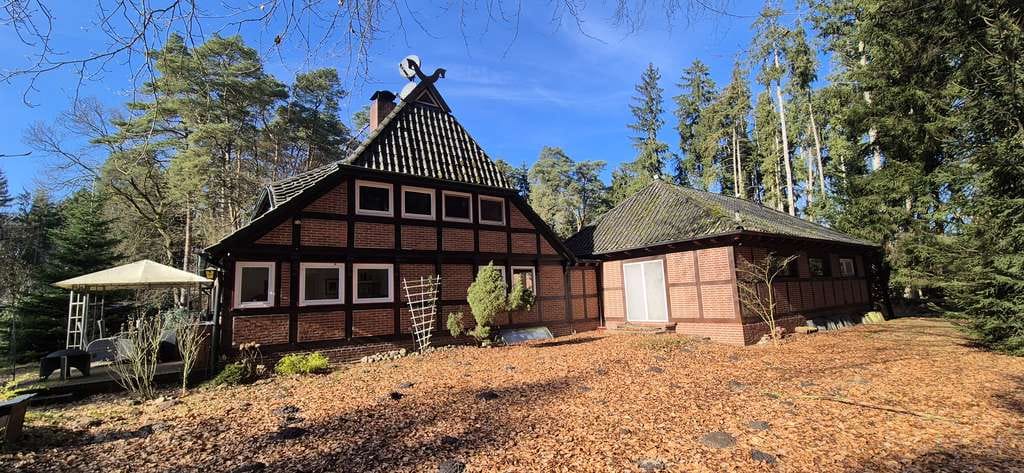 Immobilie in Hemsbünde - Alleinlage mit traumhaftem Waldgrundstück: Historisches Fachwerkhaus mit separatem Bungalow - Bild 4