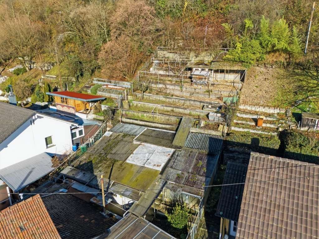 Immobilie in Grenzach-Wyhlen - Wo Familie, Natur und Lebensfreude zusammenfinden – besonderes Zuhause mit 1.231 m² Grundstück - Bild 4
