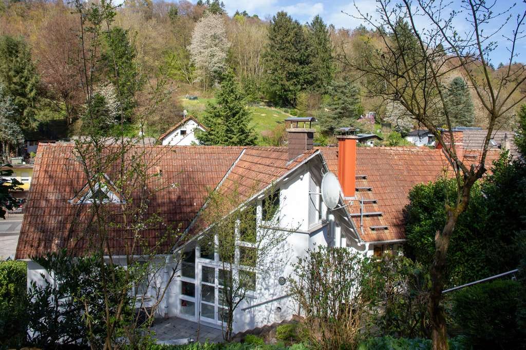 Immobilie in Gründau - Wohnen am Waldrand - besonderes Anwesen mit mehreren Einheiten - Bild 1