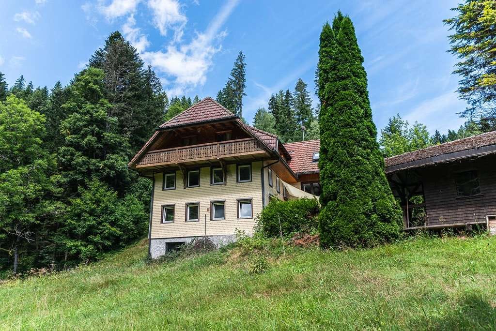 Immobilie in Breitnau - FREISTEHENDES HAUS IM SCHWARZWALD MITTEN IN DER NATUR - Mit Bach, Wiese & Wald + Gewerbepotential - Bild 4