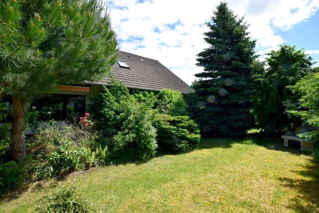 Immobilie in Königslutter am Elm - Großes, freistehendes Einfamilienhaus mit 5 Zimmern, 2 Bädern, Vollkeller + Garage... - Bild 1