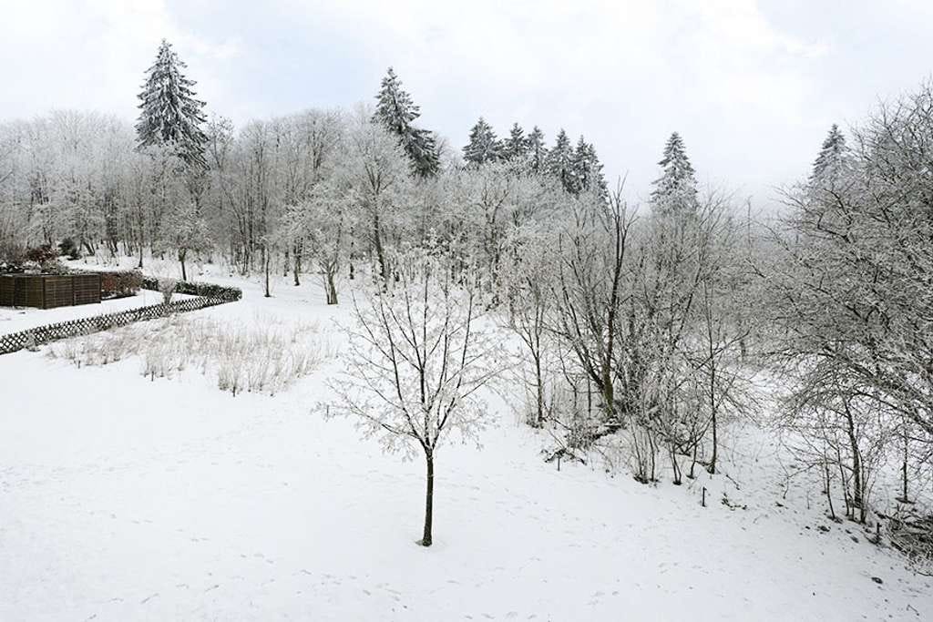Immobilie in Clausthal-Zellerfeld - Helle 4-Zimmer-Wohnung mit Balkon und schönem Ausblick... - Bild 0