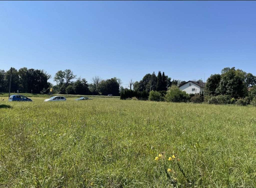Immobilie in Winhöring - NEUBAU einer Doppelhaushälfte mit 552 m² Baugrundstück in Winhöring - Bild 2