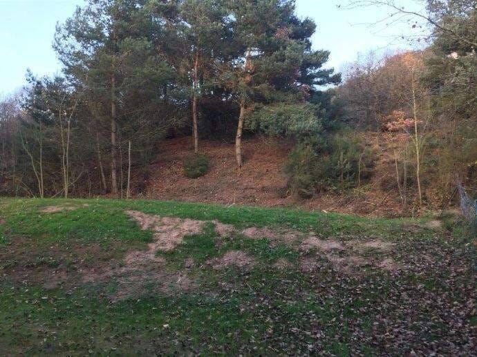 Immobilie in Birgel - Renditeobjekt (und/oder  Wochenend-/Ferienhaus in Birgel mit 3 schönen Wohnungen - Bild 2