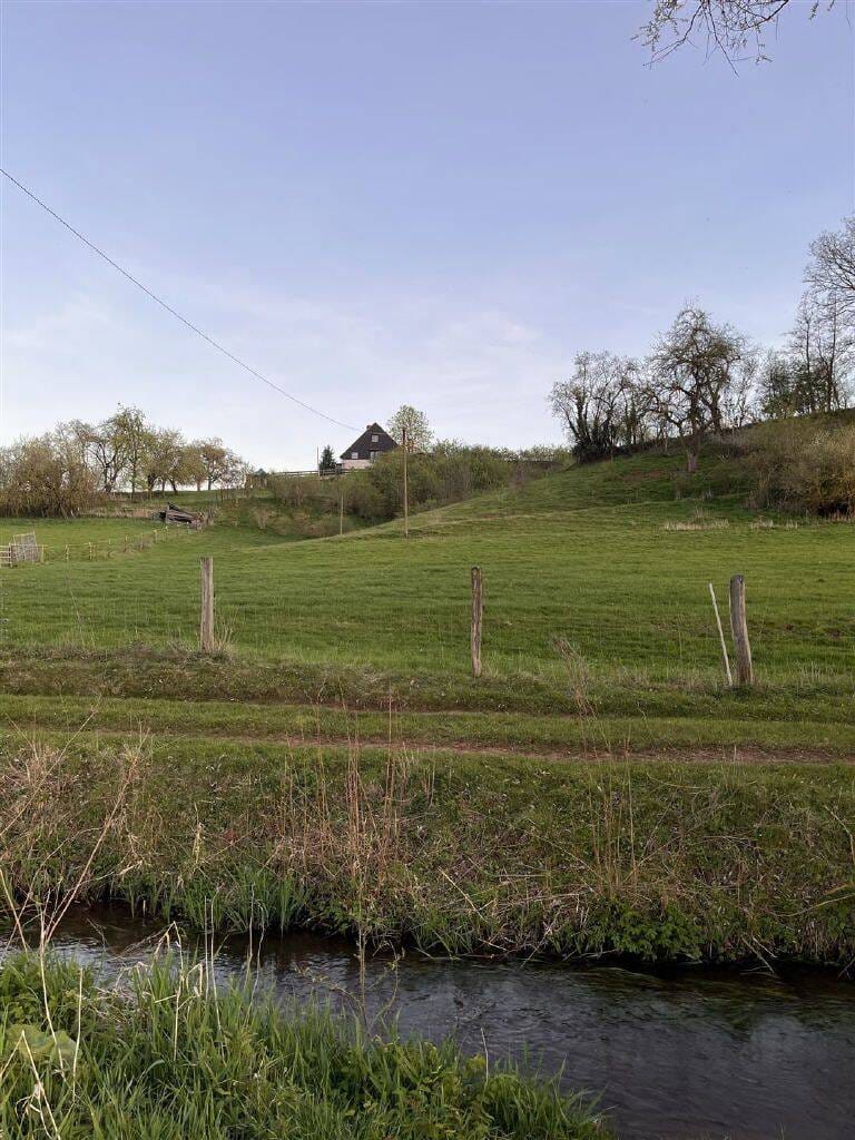 Immobilie in Twistetal - Landsitz in Alleinlage mit Weitblick - ca. 2,1 ha Anwesen in Twistetal! - Bild 4
