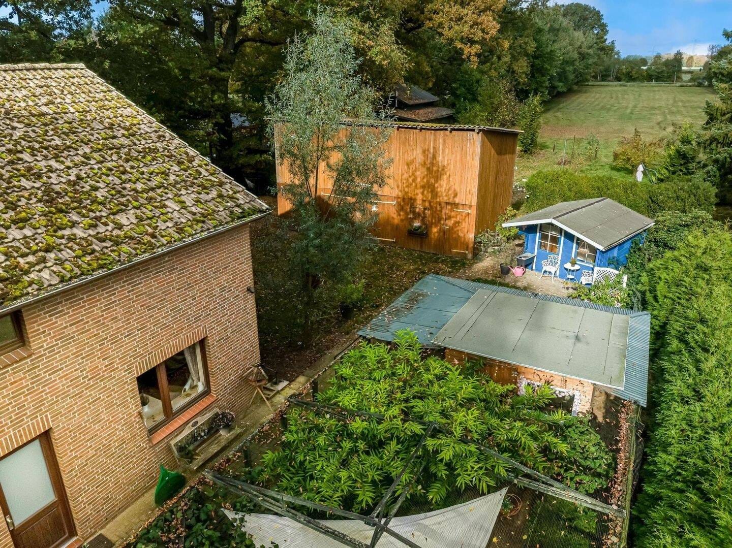 Immobilie in Bimöhlen - Mehrgenerationenhaus in herrlicher Natur - Bild 4
