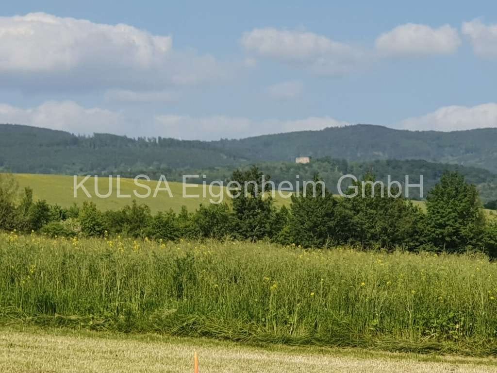 Immobilie in Barchfeld-Immelborn - Geteilte Kosten - doppeltes Glück. Doppelhaus auf sonnigem Grundstück bei Bad Salzungen und Bad Lieb - Bild 4