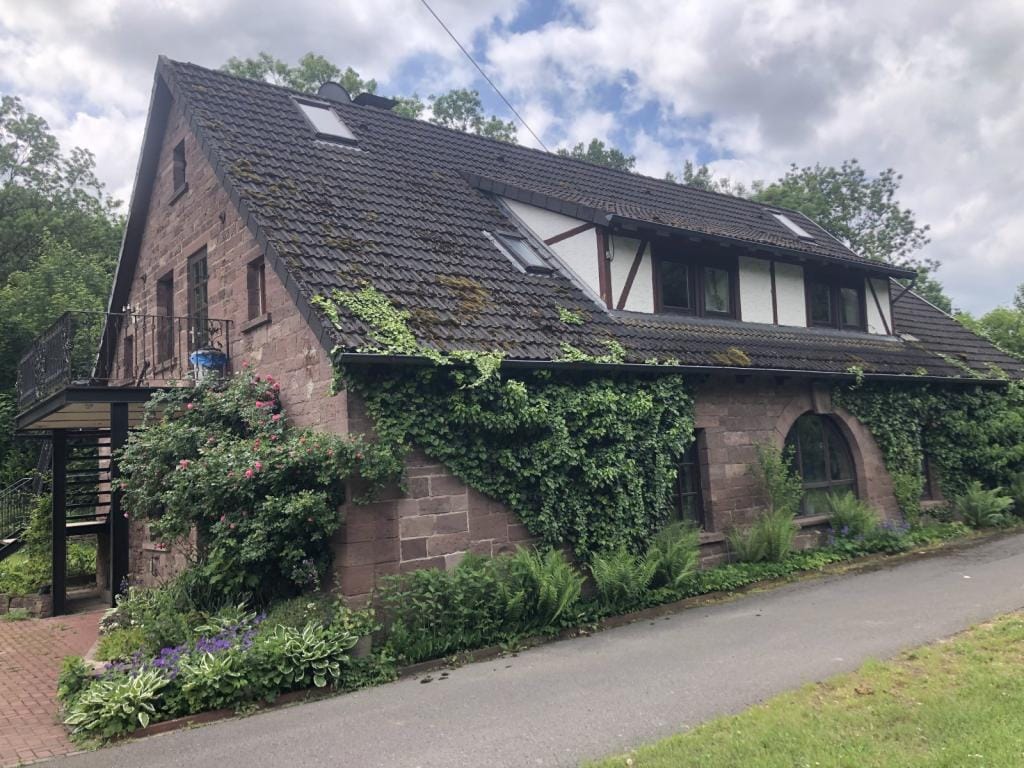 Immobilie in Bodenwerder - Bauernhaus in Bodenwerder - Bild 0