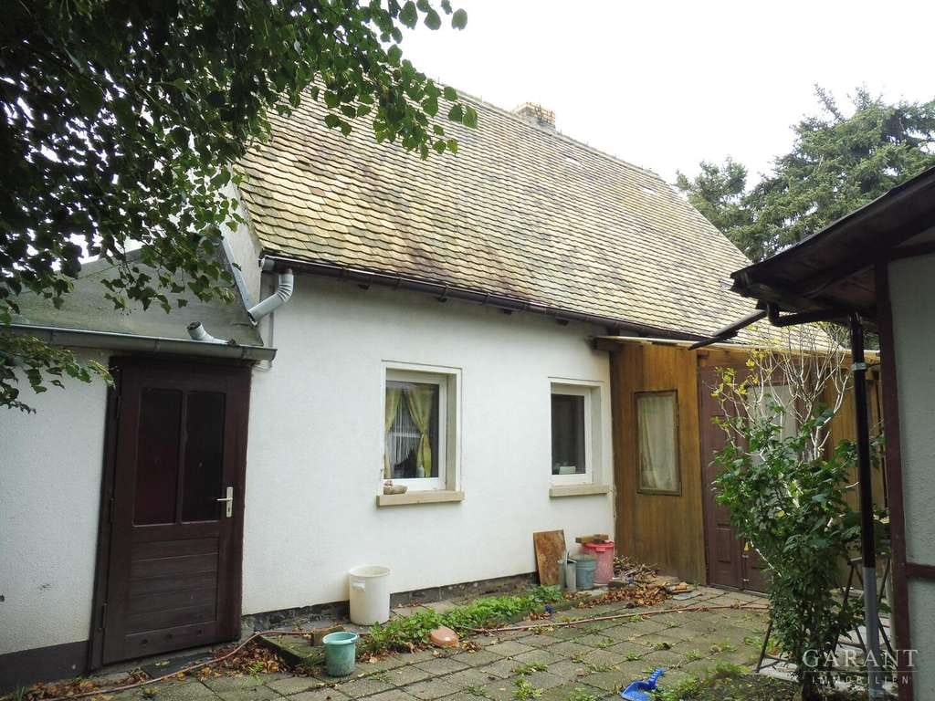 Immobilie in Lossatal - Einfamilienhaus mit großem Grundstück in ruhiger Lage - Bild 3