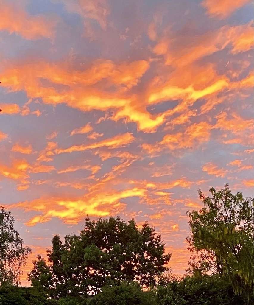 Immobilie in Freigericht - Ein Traum wird wahr . . . . den Sonnenuntergang im eigenen Garten erleben - Bild 0