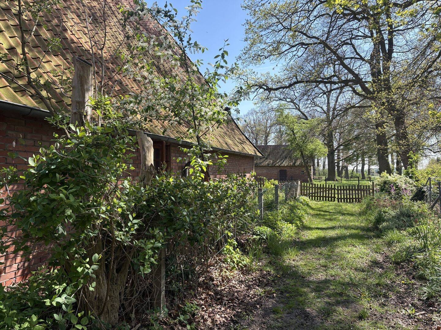 Immobilie in Borstel - Romantisches Landhaus mit Charme und parkähnlichem Grundstück - Bild 4
