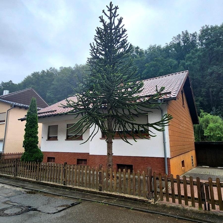 Immobilie in Obernheim-Kirchenarnbach - Freistehendes Einfamilienhaus in Obernheim-Kirchenarnbach – Ihr neues Zuhause mit Garten wartet - Bild 0