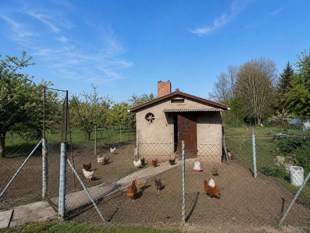Immobilie in Lassan - Familienglück nahe Hafen - Zuhause mit Garten & Homeoffice. Keine Käuferprovision - Bild 3