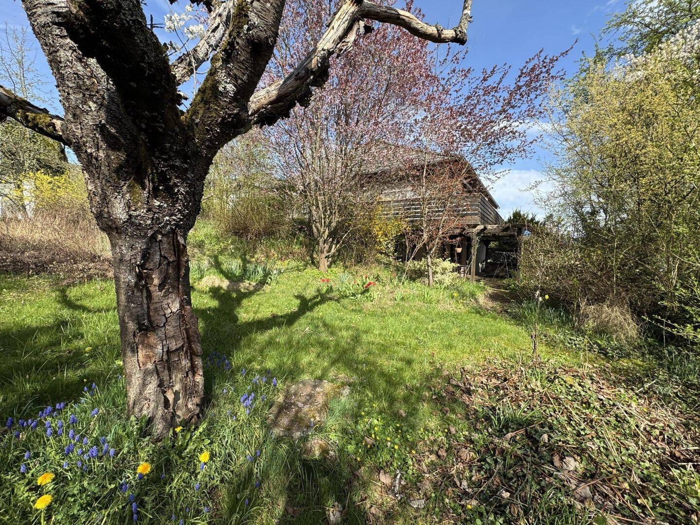 Immobilie in Weimar (Lahn) - Einfamilienhaus mit großem Grundstück im beliebten Niederweimar! - Bild 2