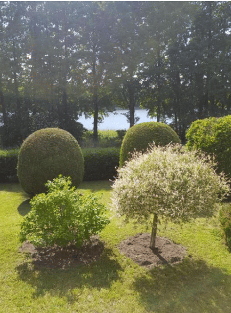 Immobilie in Grammentin - Bungalow mit direkter Seelage bei Neustrelitz - Bild 1