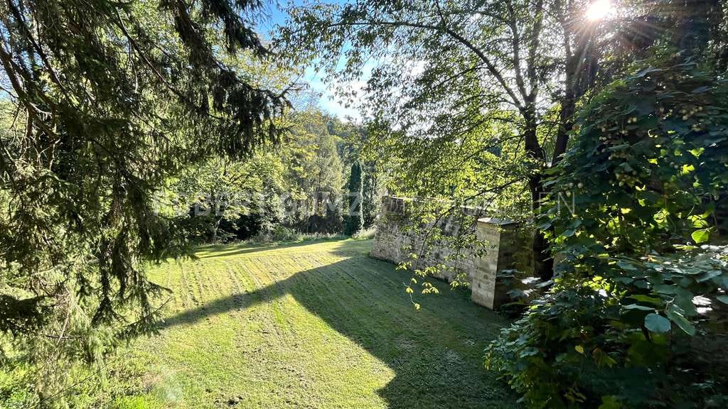 Immobilie in Finneland - 🏰 Schloss Steinburg Wohnen & Leben in einem historischen Gebäude - Denkmal AfA / Steuervorteile 💰 - Bild 4