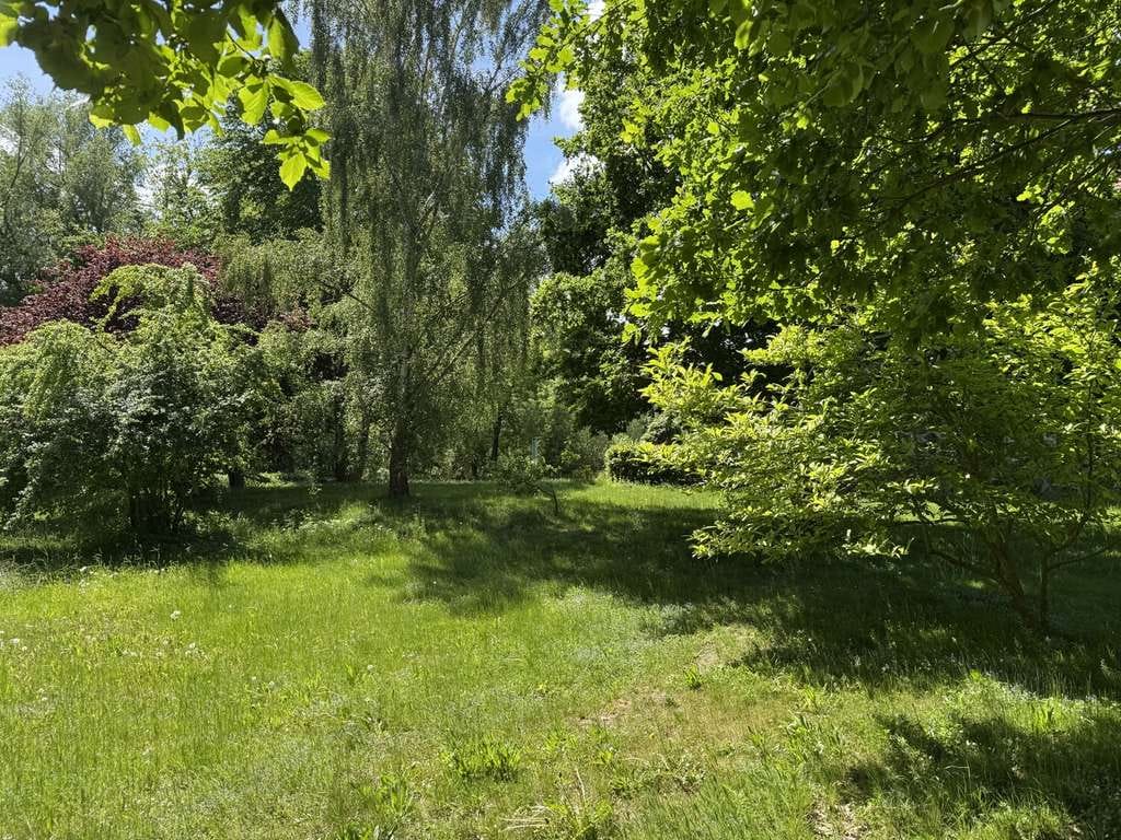 Immobilie in Karlsburg - Naturnah wohnen mit Stil – großzügige Wohnung in kernsaniertem Feldsteinhaus - Bild 3