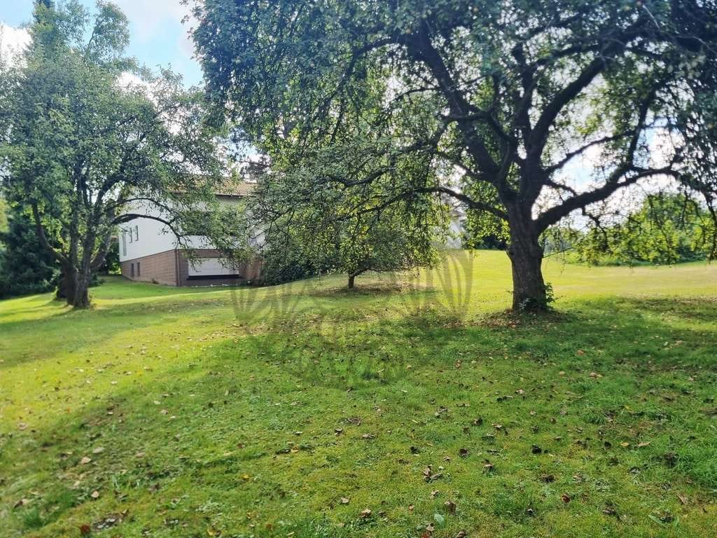 Immobilie in Dornburg - Dornburg: Wohnen im Park-Bungalow mit 2 Garagen in Ortsrandlage - Bild 4