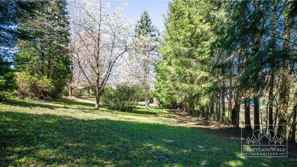 Immobilie in Hilst - Frankreich vor der Tür – Großzügiges Einfamilienhaus mit 2.698m² Traumgrundstück am Waldrand - Bild 3