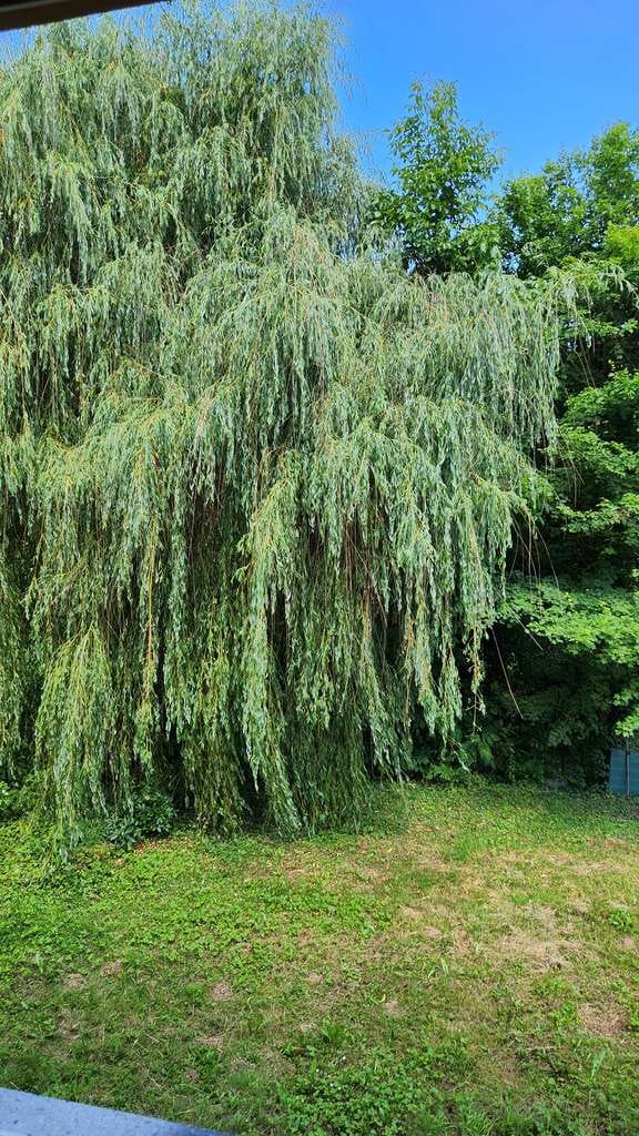 Immobilie in Eppstein - Freistehendes 4-Familienhaus mit sonnigem Garten und vieles mehr - Bild 2