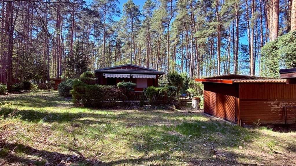 Immobilie in Rabenstein/Fläming - **Ruhe und Entspannung abseits des Großstadtlärms**Ferienhaus im Kiefernwald** - Bild 4
