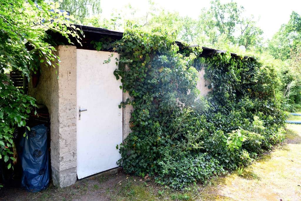 Immobilie in Brandenburg an der Havel - Einfamilienhaus im Grünen in Brandenburg a. d. Havel, provisionsfrei vom Eigentümer - Bild 4