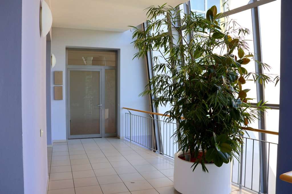 Immobilie in Traben-Trarbach - Ausbaufläche für 4-Zi-Wohnung oder 2x 2-Zi-Wohnungen mit Loggia - Bild 2