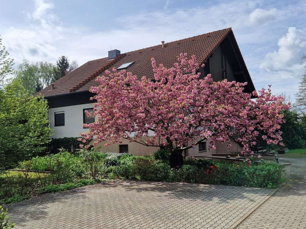 Immobilie in Waldhufen - Hochwertiges Wohnhaus mit Praxis in Nieder Seifersdorf - Bild 0