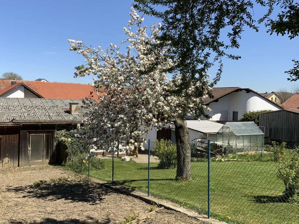 Immobilie in Adelschlag - Einfamilienhaus in Adelschlag-Ochsenfeld - Hier fühlt sich Zuhause richtig an  - Bild 1