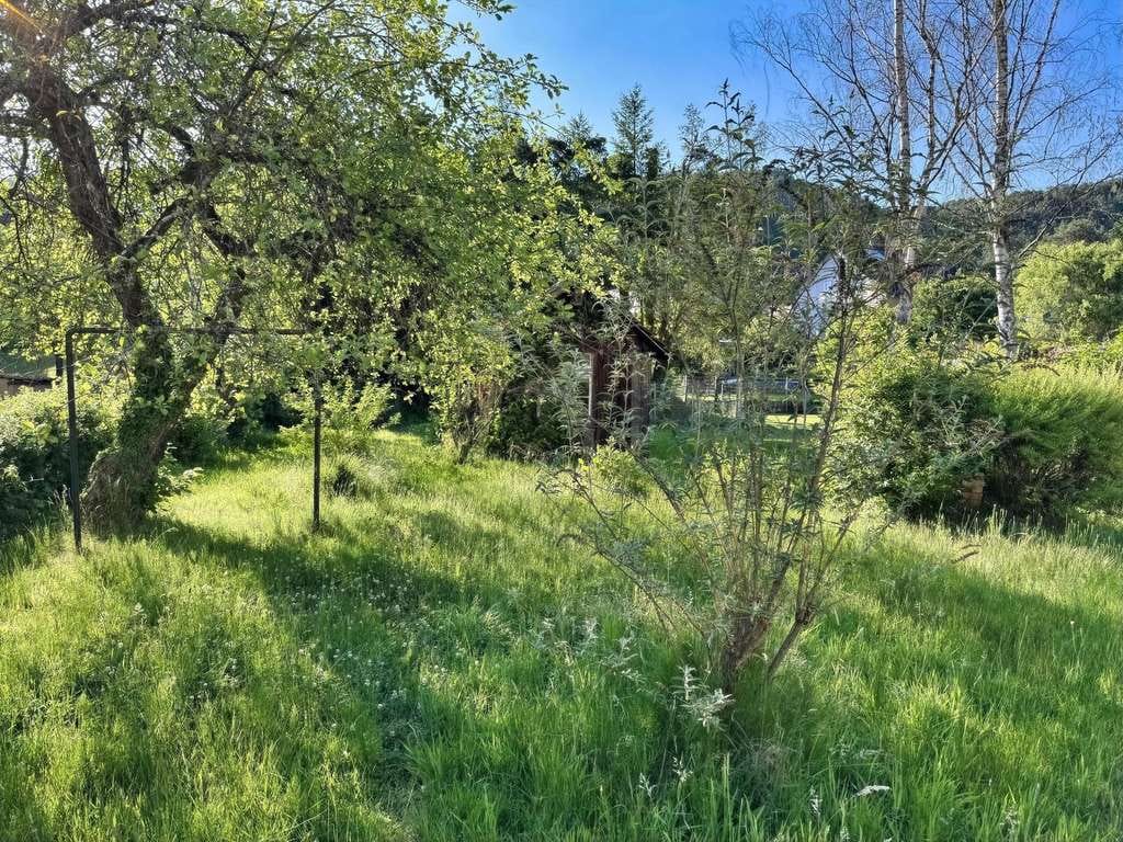 Immobilie in Erfweiler - Großzügiges Wohnhaus mit großem Garten in sehr ruhiger Lage - Bild 4