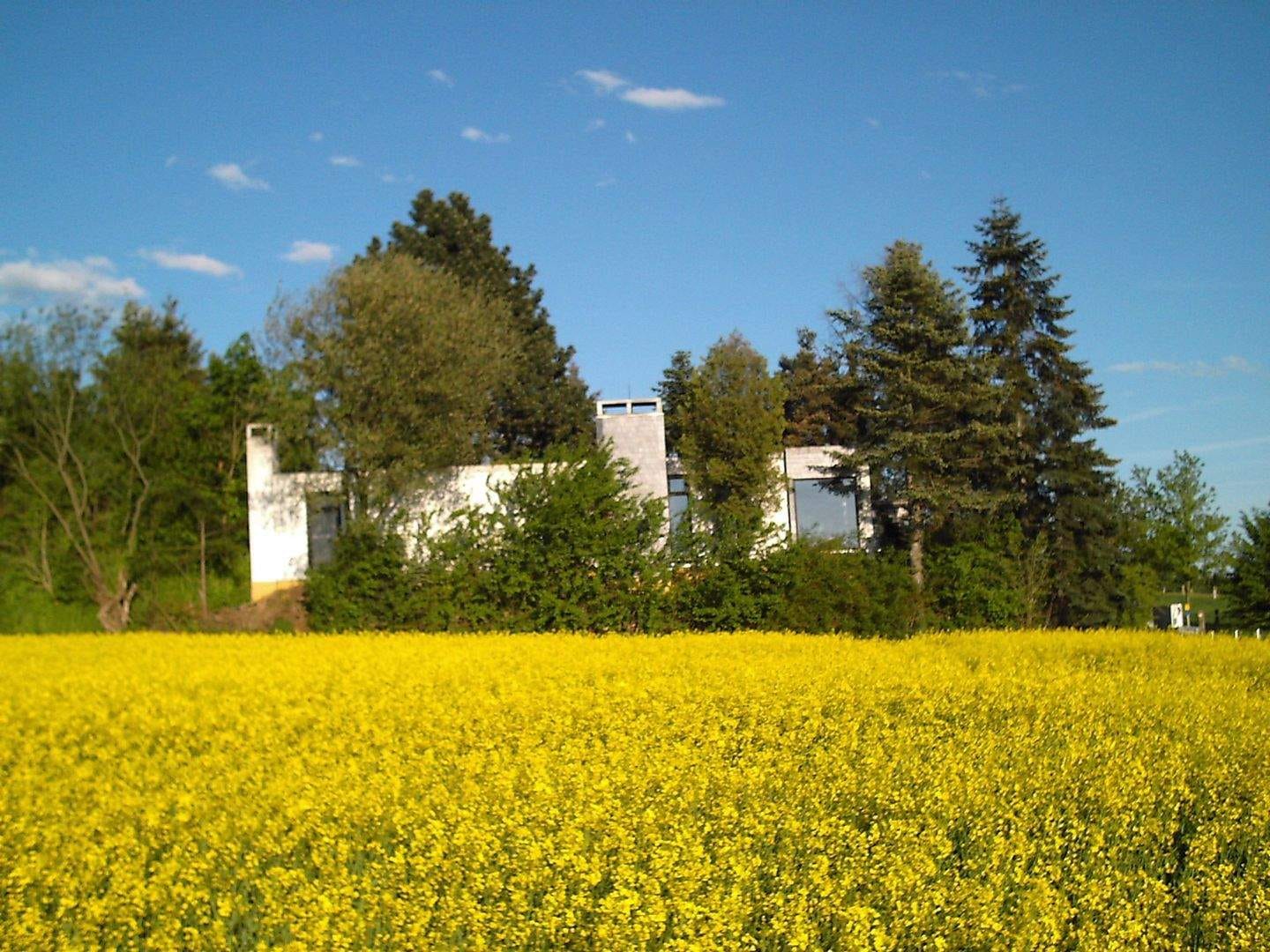 Immobilie in Porta Westfalica - Architektonisches Juwel im Grünen: Großzügiges Atriumhaus mit Innengarten – Ein Traum für Handwerker! - Bild 0