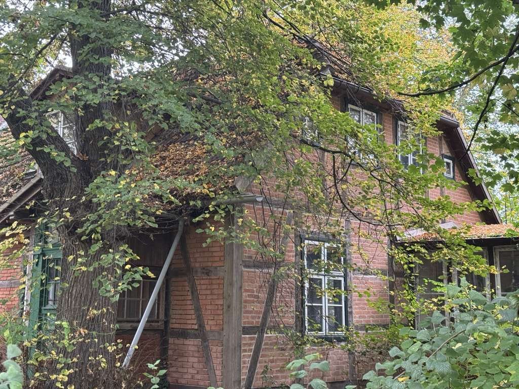 Immobilie in Lübtheen - Charmantes Fachwerkhaus im Grünen - Bild 2