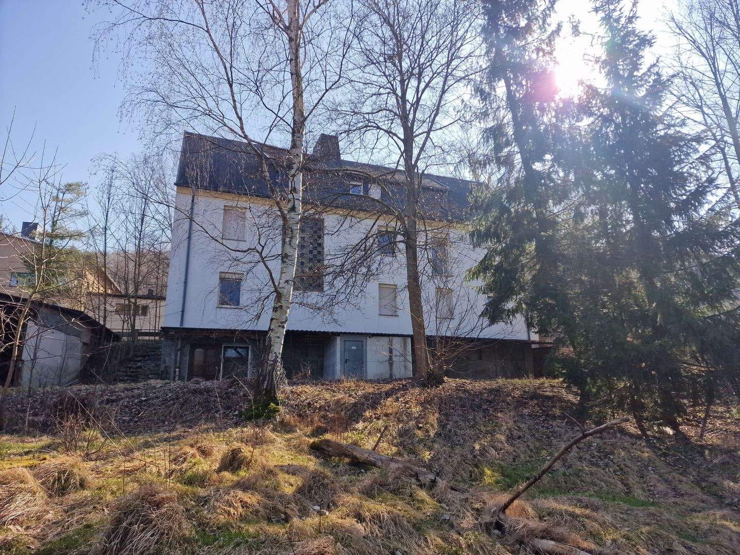 Immobilie in Aue-Bad Schlema - Wohnen und Arbeiten unter einem Dach! Besonderes Objekt in toller Lage! - Bild 3