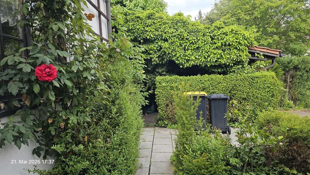 Immobilie in Belgershain - Geräumiges Familienhaus im Leipziger Neuseenland ! - Bild 2