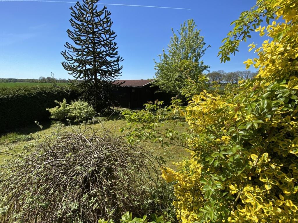 Immobilie in Kutenholz - Einfamilienhaus freistehend in Kutenholz (Essel) - Bild 4