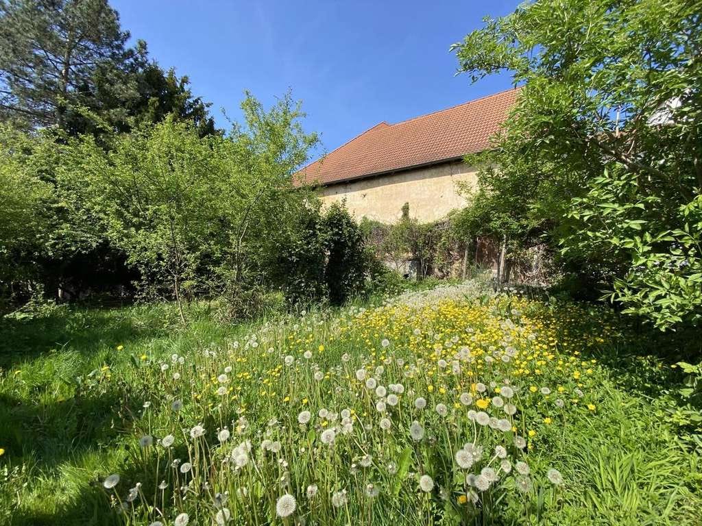 Immobilie in Kandern - Unendliche Möglichkeiten - Bild 1