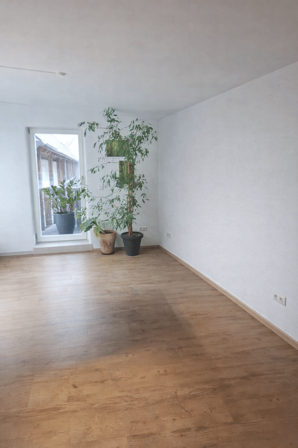 Immobilie in Neudenau - Kapitalanlage - voll saniertes historisches  Wohn-Geschäftshaus zur Vermietung oder Selbstntutzung - Bild 1