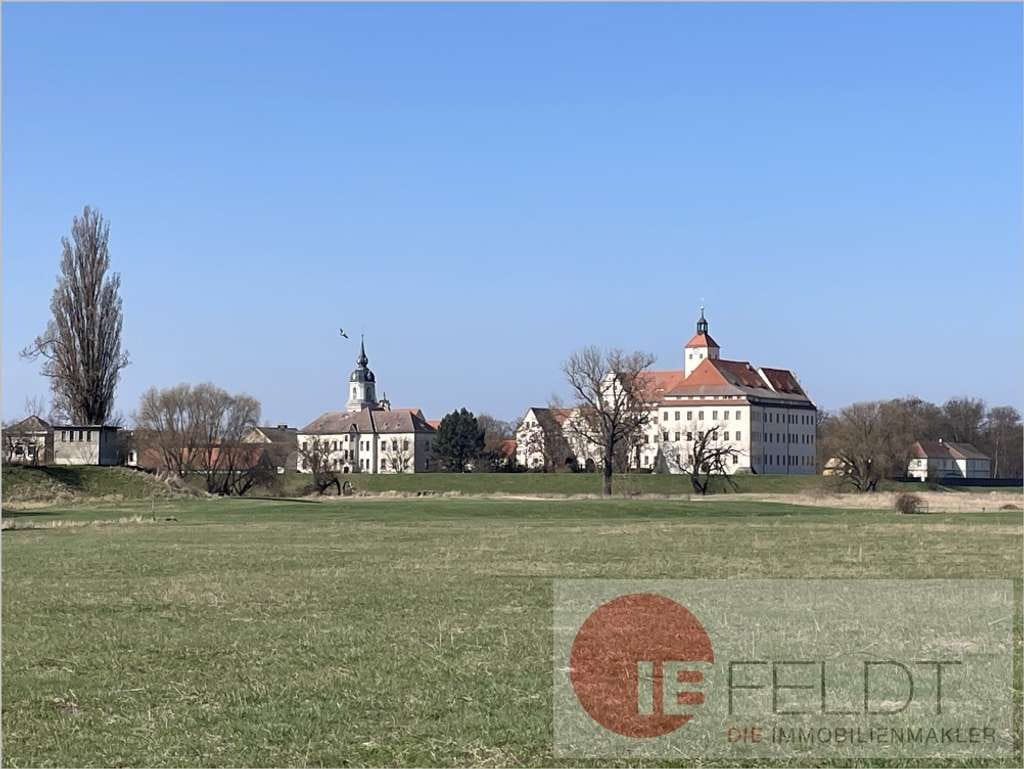 Immobilie in Bad Schmiedeberg - Aus alt mach neu - Altstadthaus mit Potential!
Die Vorarbeit ist schon getan. - Bild 1