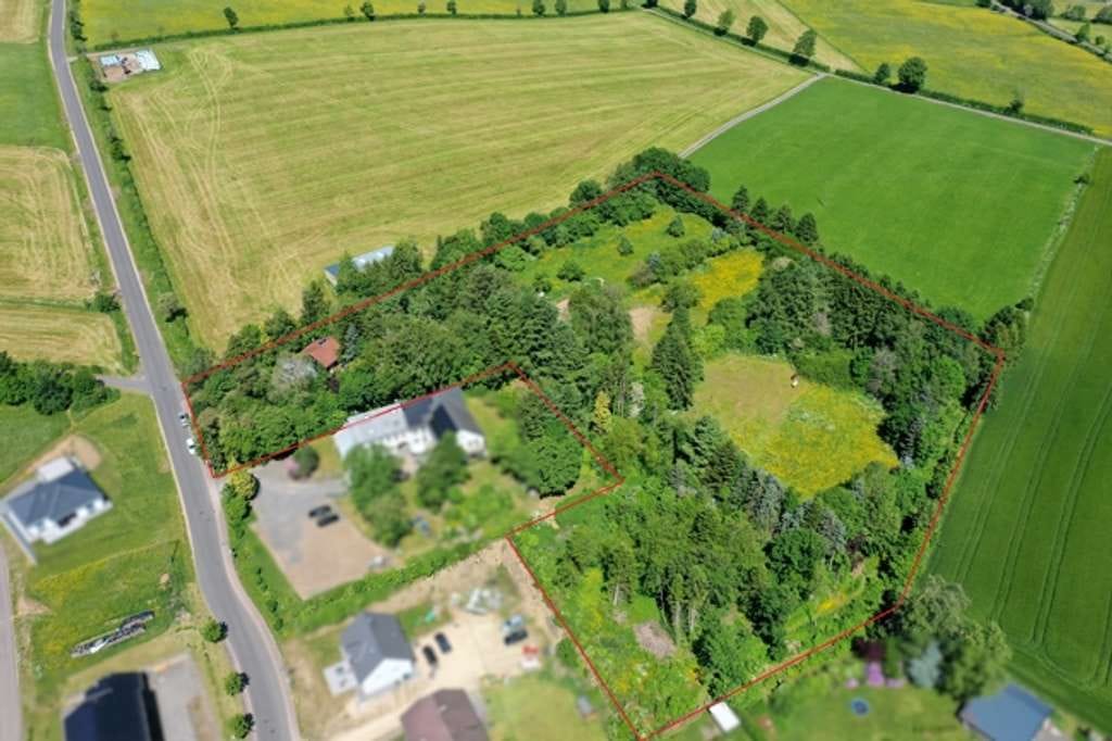 Immobilie in Olzheim - Pferdeliebhaber aufgepasst! Idyllisches Anwesen mit Holzblockhaus, Stallungen, Paddock & Weideland - Bild 1