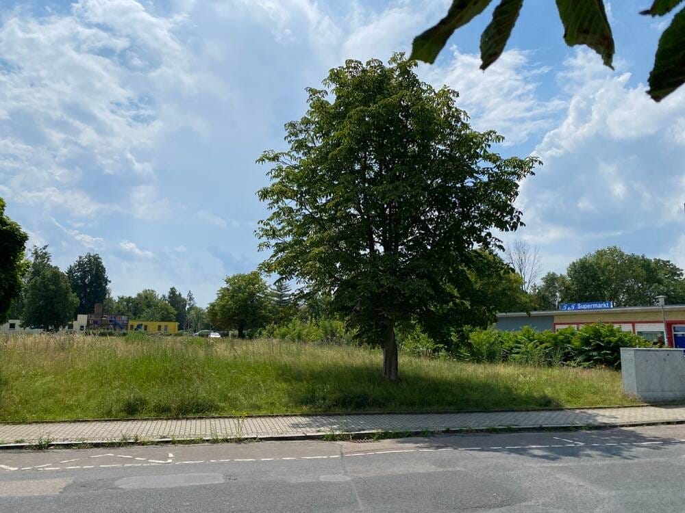 Immobilie in Lucka - ScanHaus macht’s möglich – moderner 1,5-Geschosser in Lucka! - Bild 2