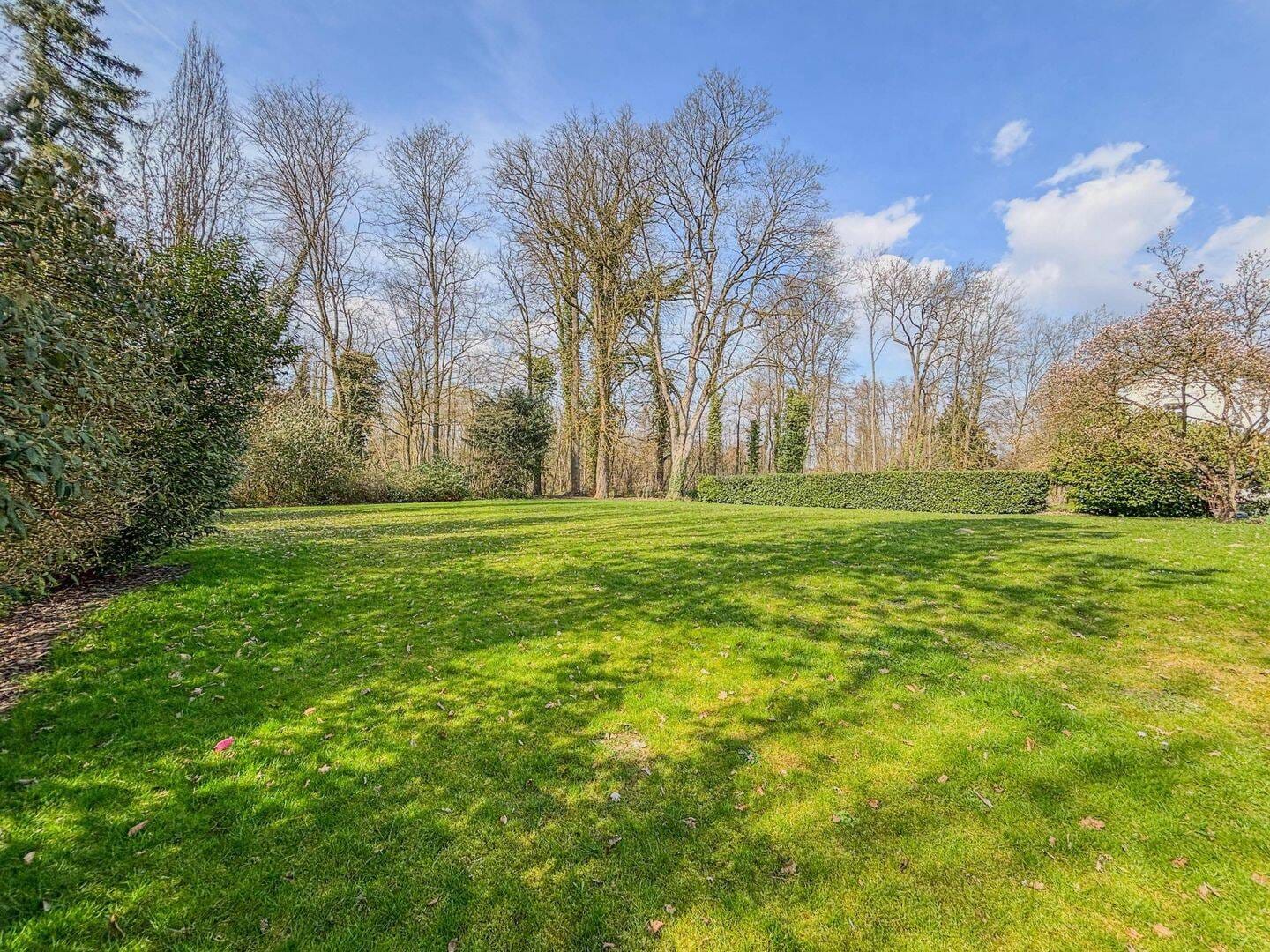 Immobilie in Asbach-Bäumenheim - Wohnen im Grünen - Ihr neues Zuhause mit großem Garten und viel Platz! - Bild 4