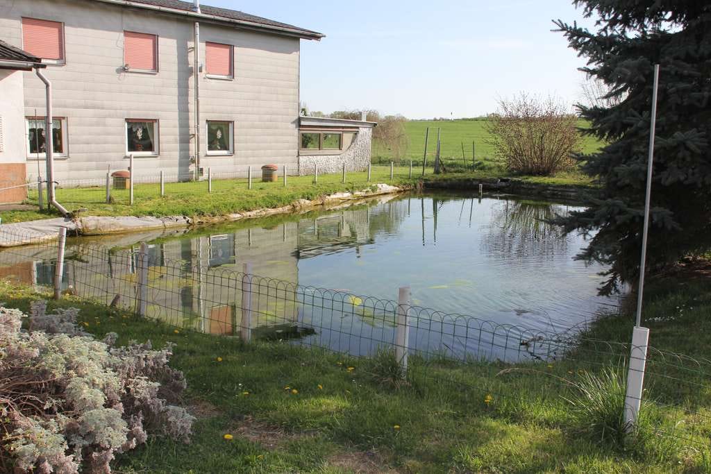 Immobilie in Nordheim - Landwirtschaftliche Hofstelle (ehem. Weingut) in idyllischer Lage im Landkreis Heilbronn - Bild 1