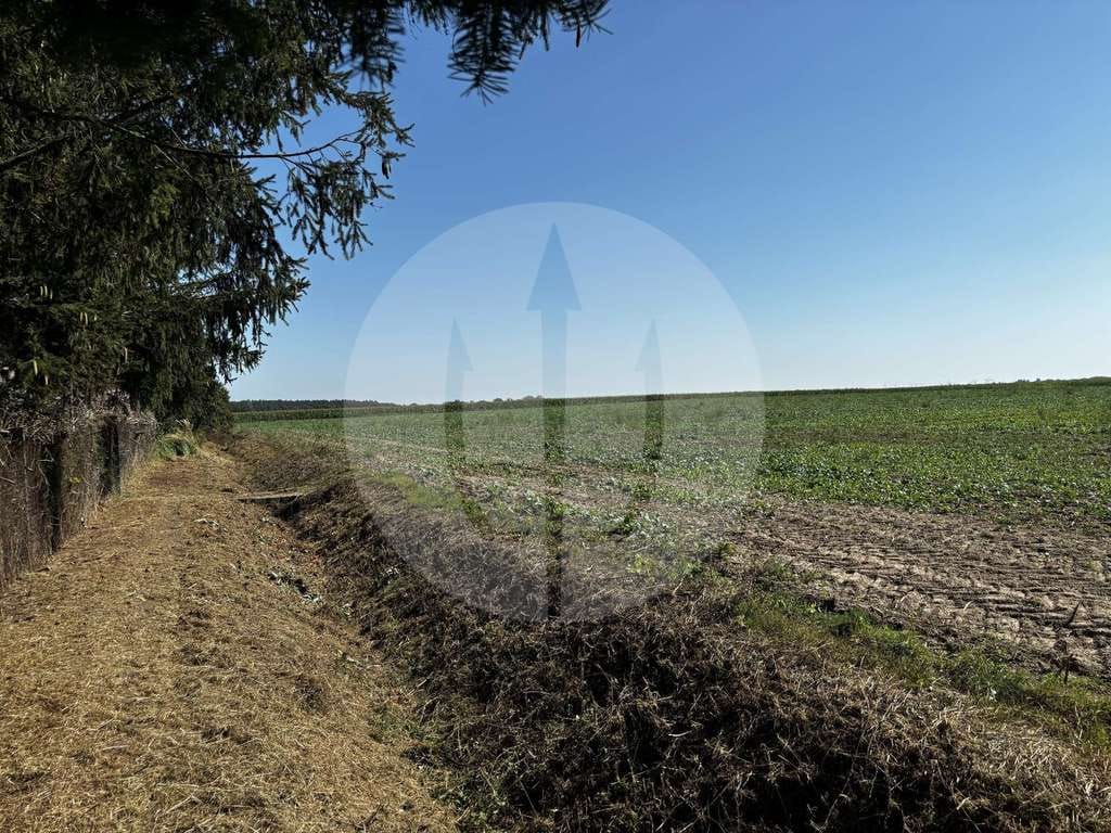 Immobilie in Bismark (Altmark) - Für Gärtner, Golfer & Genießer: Weite, Wald & Wohnkomfort - Bild 4