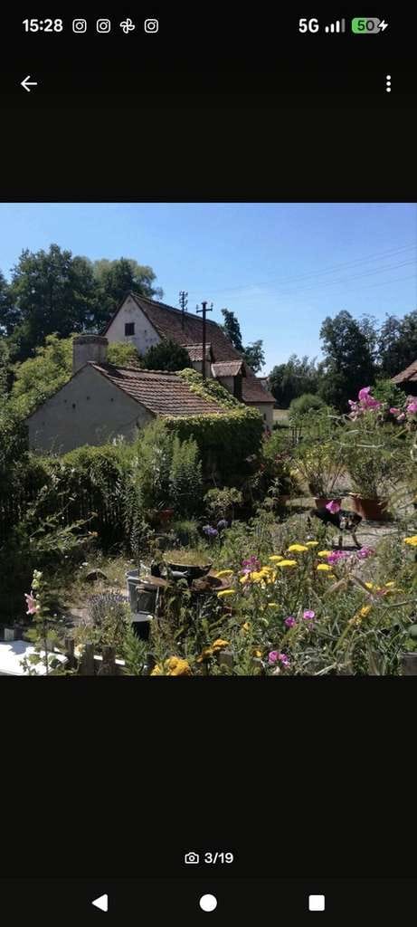 Immobilie in Wilhermsdorf - Haus - Mühle - Bauernhaus-Einzigartig Wohnen in ländlicher Idylle - Bild 1