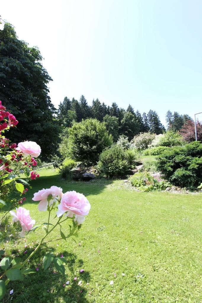 Immobilie in Waldburg - Wunderschönes Landhaus in Traumlage auf über 4.500 qm Grund mit ca. 400 qm toll ausgebauter Wo - Bild 3