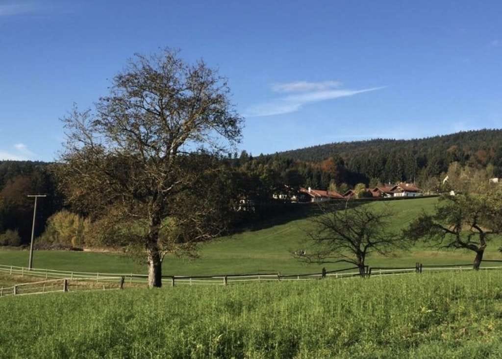 Immobilie in Hauzenberg - Ferienwohnung in herrlicher Lage , Nahe Passau ! - Bild 1