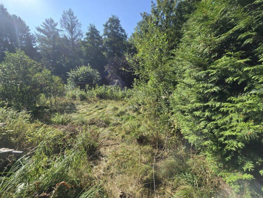 Immobilie in Kemberg -  Am Rande der Dübener Heide - Nähe Königssee - Wochenendgrundstück! - Bild 2