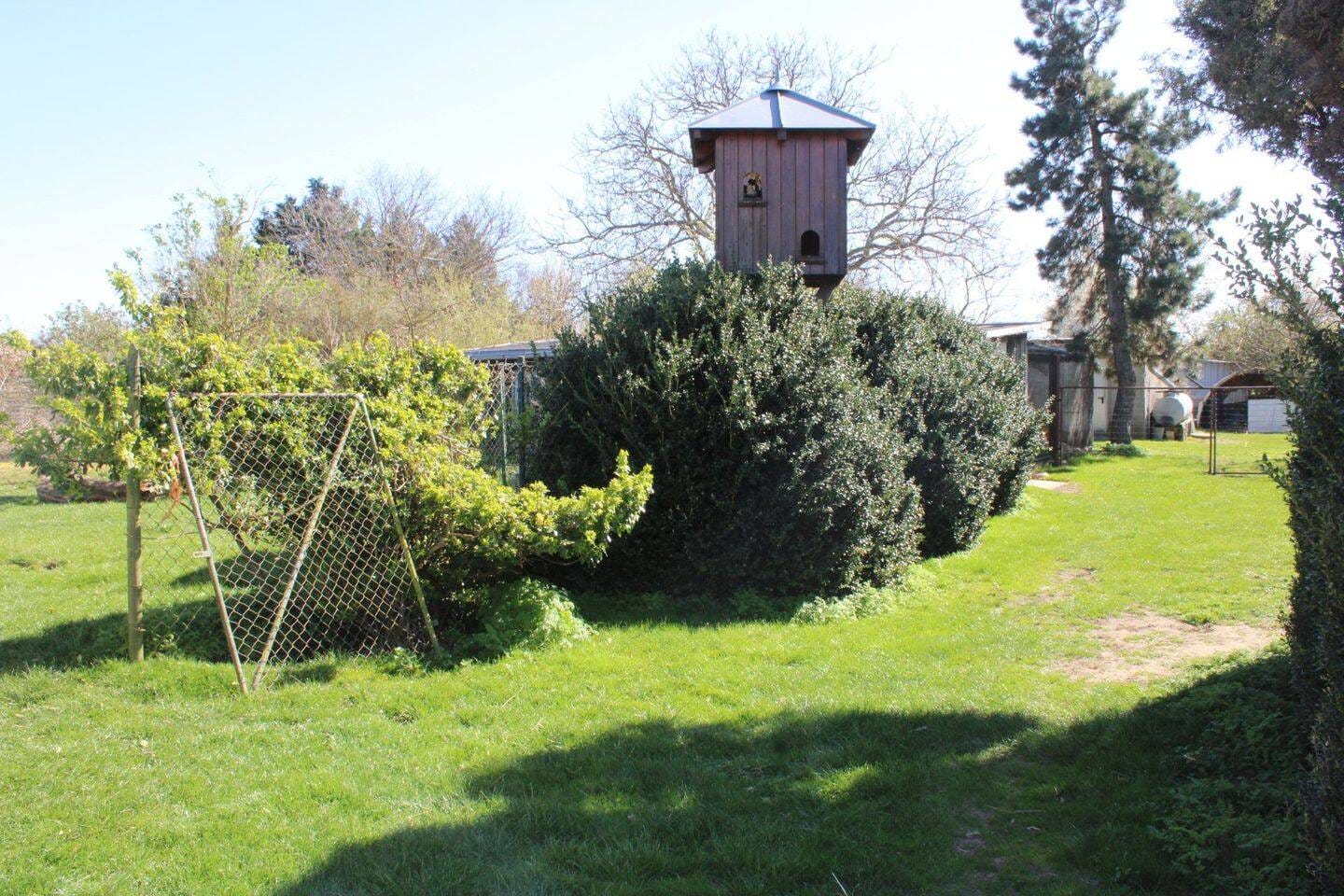 Immobilie in Arzberg - Viel Platz für Tierhaltung oder Hobbys in Packisch:  Kompakte Doppelhaushälfte mit großem Grundstück - Bild 4