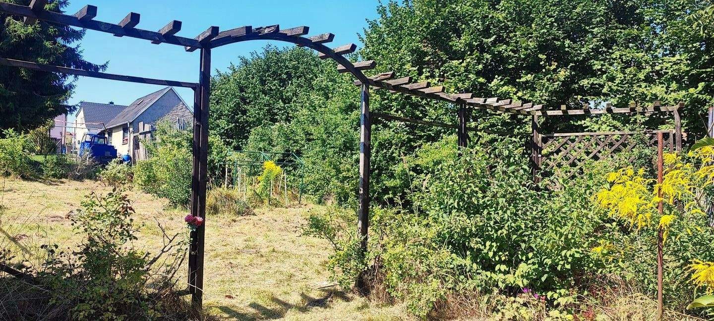 Immobilie in Rositz - Siedlungshaus mit großem Grundstück in bevorzugter Randlage - Bild 2